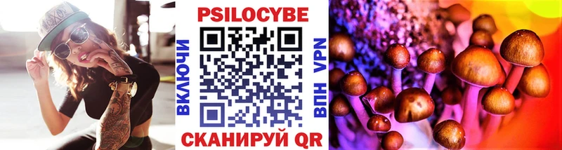 Галлюциногенные грибы Cubensis  Щигры 